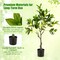 Costway 1/2 PCS 2.6 FT Tall Artificial Lemon Tree with Lemon Fruits, Cement Pot for Porch, Office